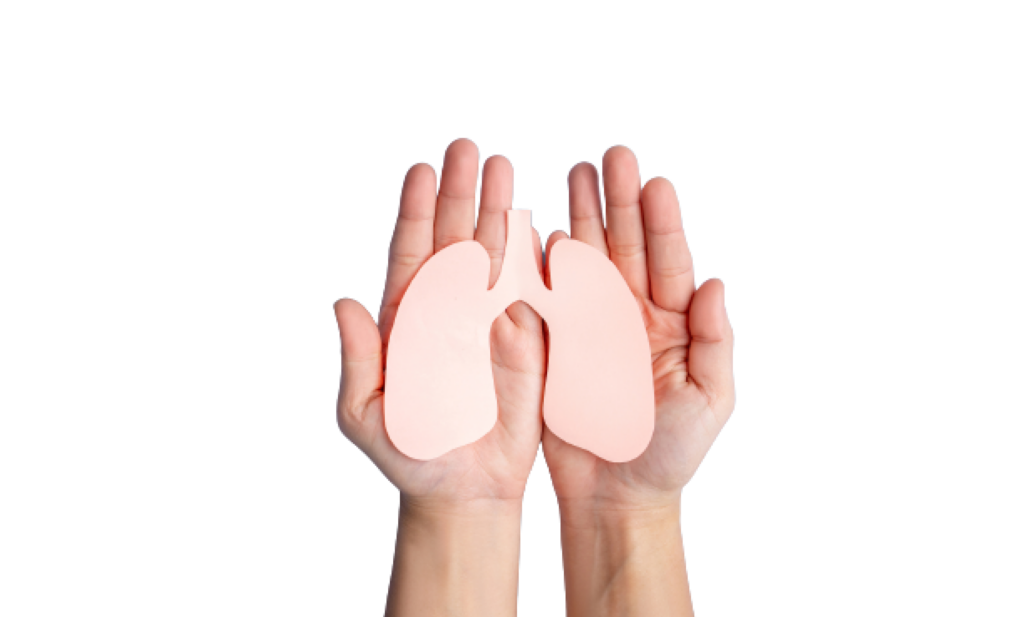 Alpha-1 Antitrypsin Deficiency Australia - resources image of lungs in hands
